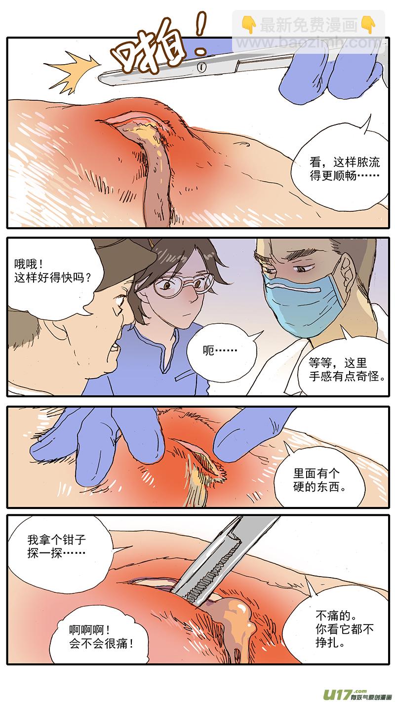100 犬消化道异物（钢签）-第100话