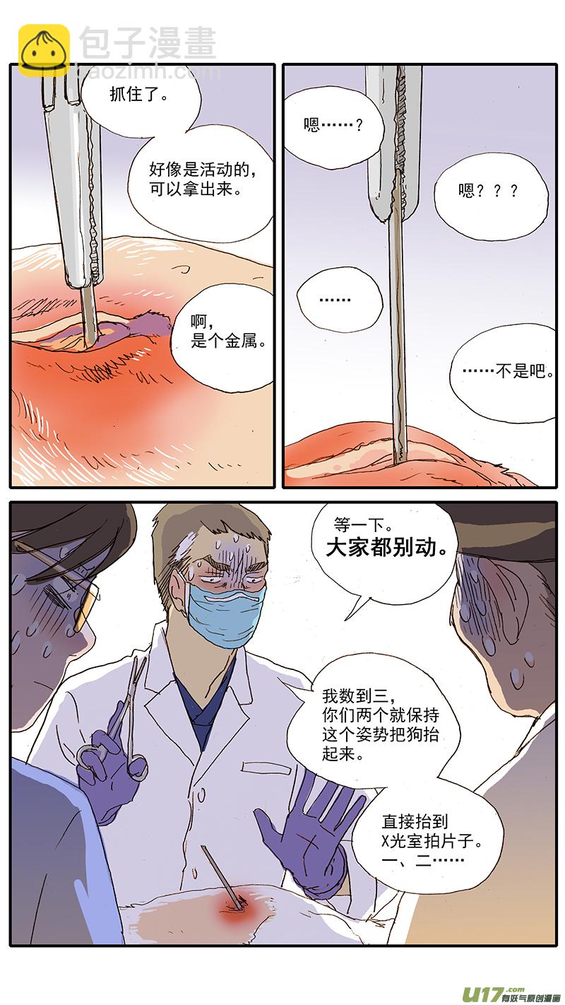 100 犬消化道异物（钢签）-第100话