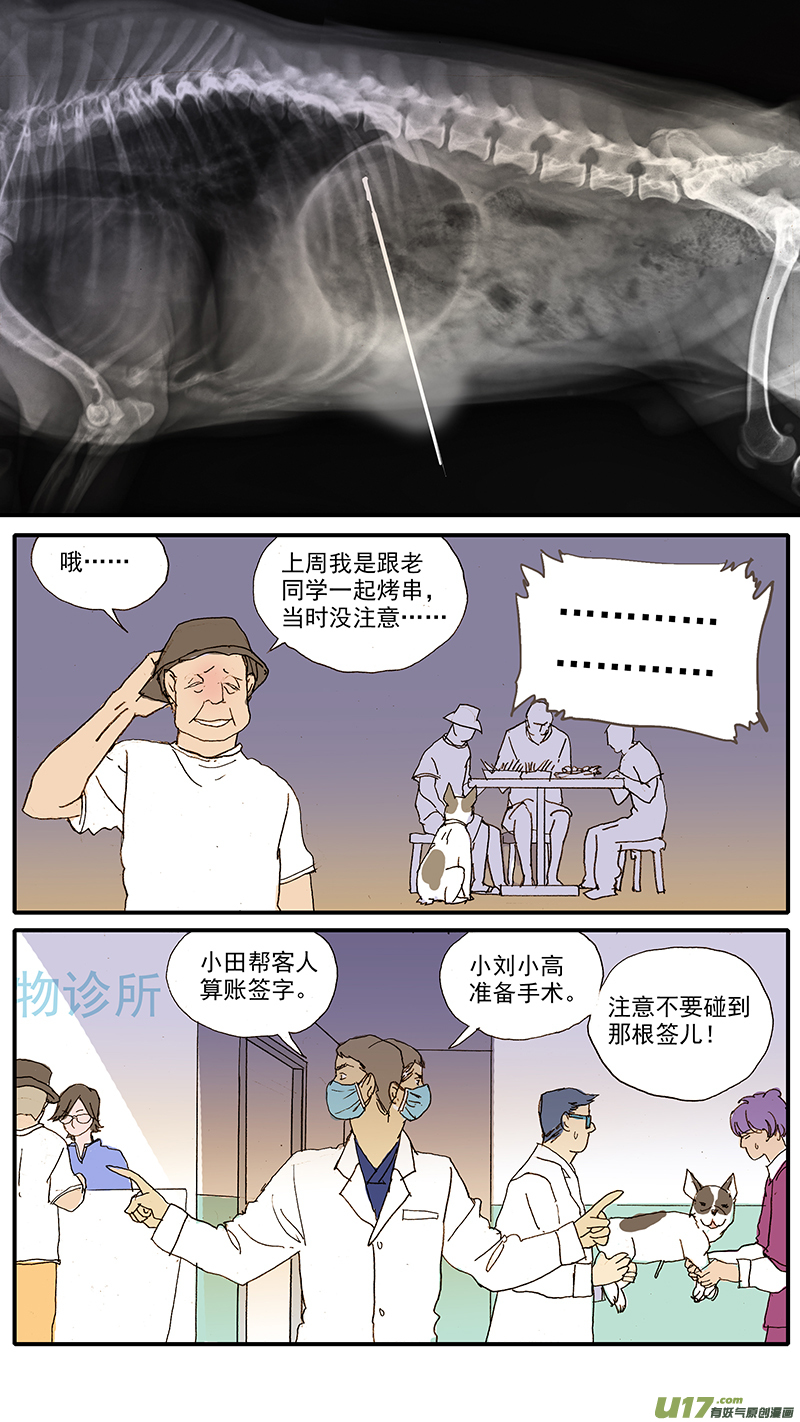100 犬消化道异物（钢签）-第100话
