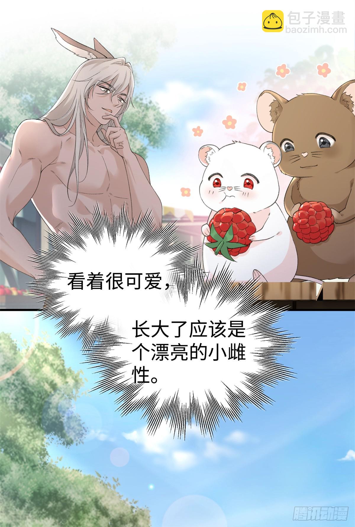 第15话 还是只小幼鼠吧-第16话