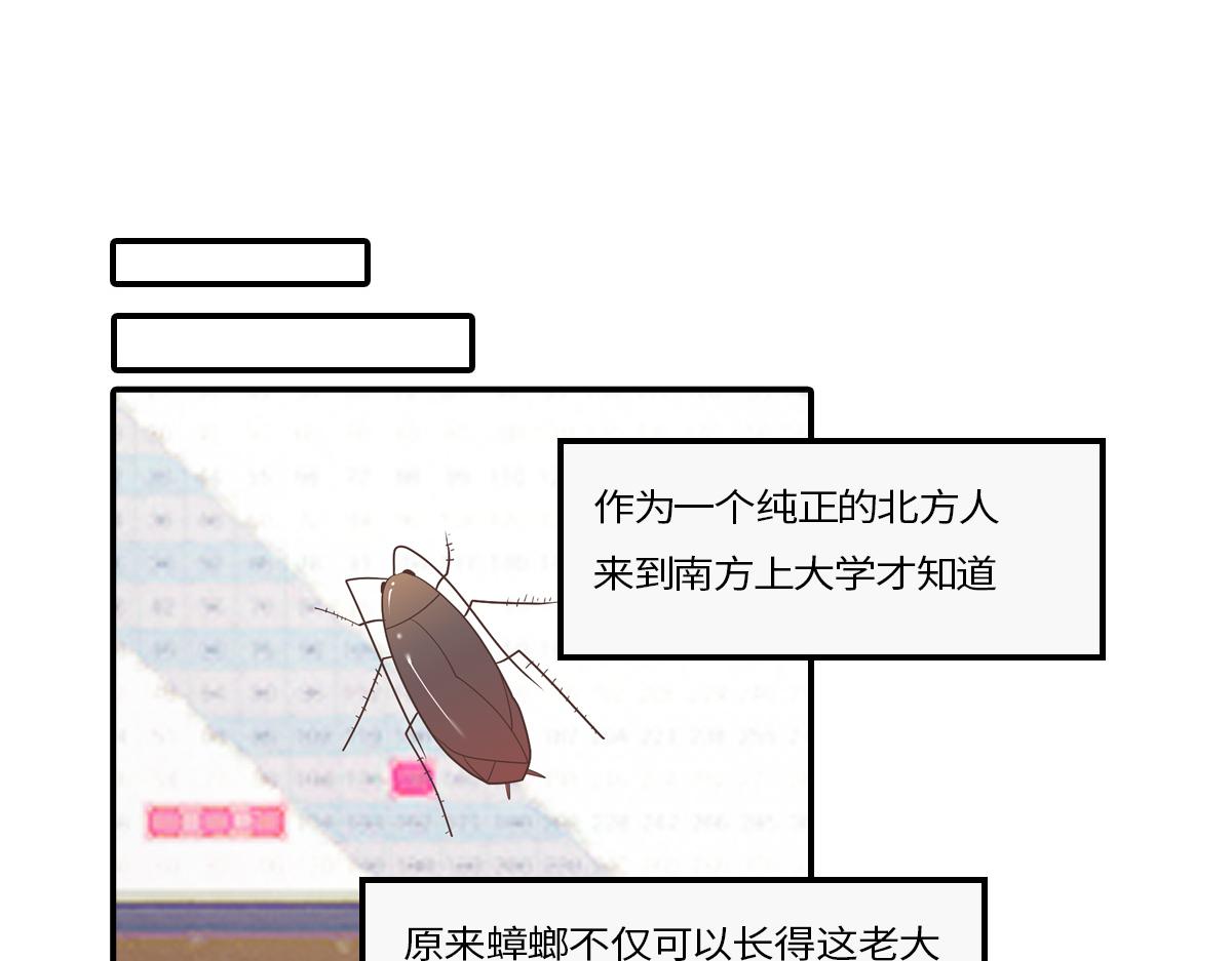 🍵半糖世界 南方人和北方人谈恋爱有多甜 第24页