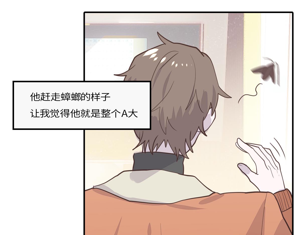 🍵半糖世界 南方人和北方人谈恋爱有多甜 第29页