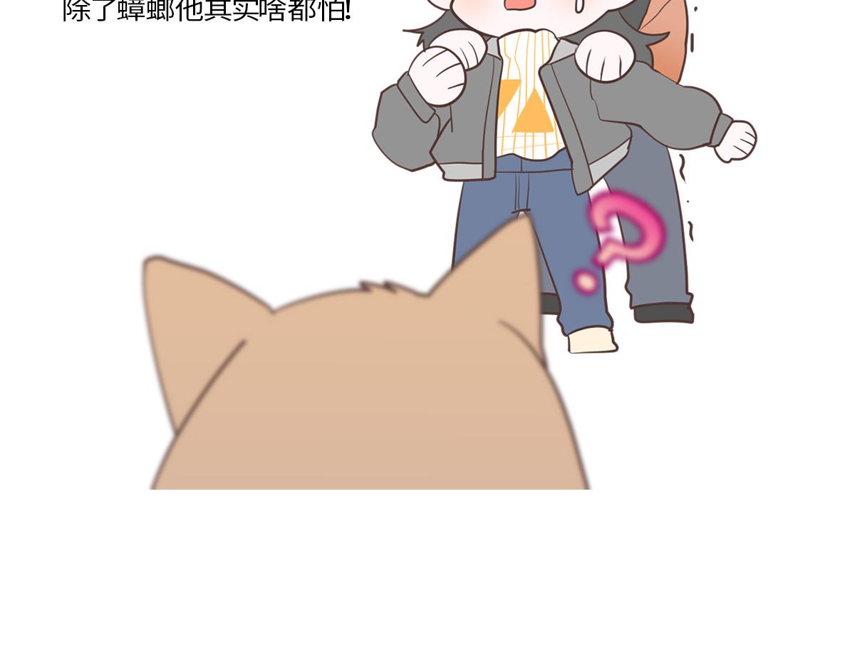 🍵半糖世界 南方人和北方人谈恋爱有多甜 第39页