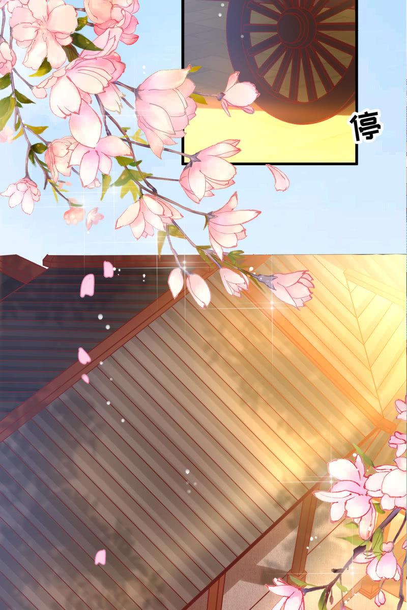 锦桃妹妹，我有话对你说-第36话
