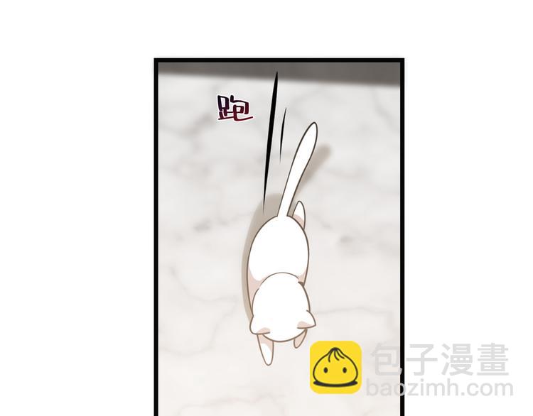 🍵半缘修仙半缘君 第138话 第31页