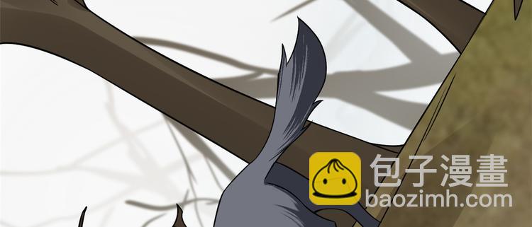 🍵半缘修仙半缘君 第156话 第36页