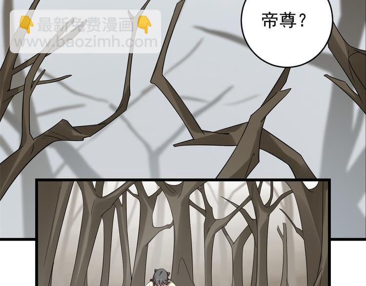 🍵半缘修仙半缘君 第156话 第5页