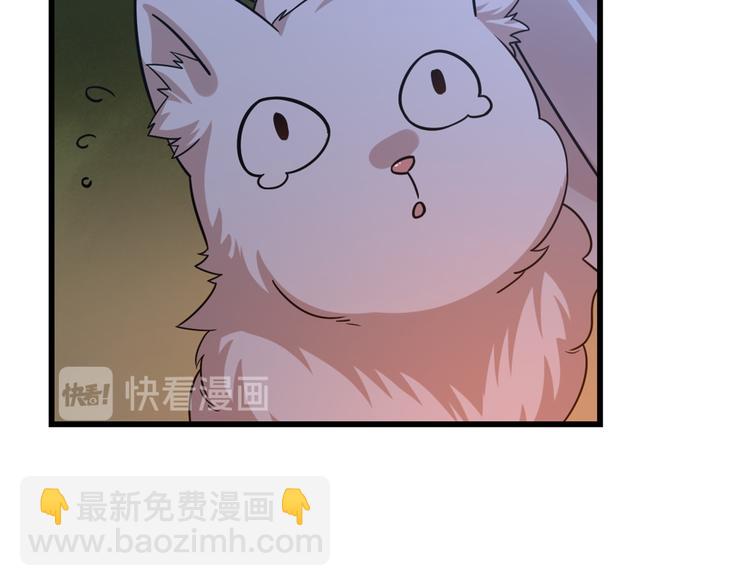 🍵半缘修仙半缘君 第162话 第19页