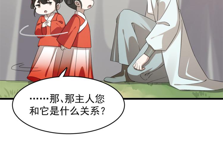 🍵半缘修仙半缘君 第262话 第11页