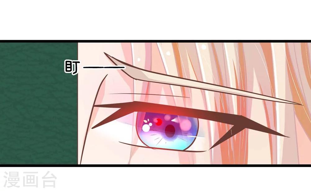第114话 那公子的回礼-第78话