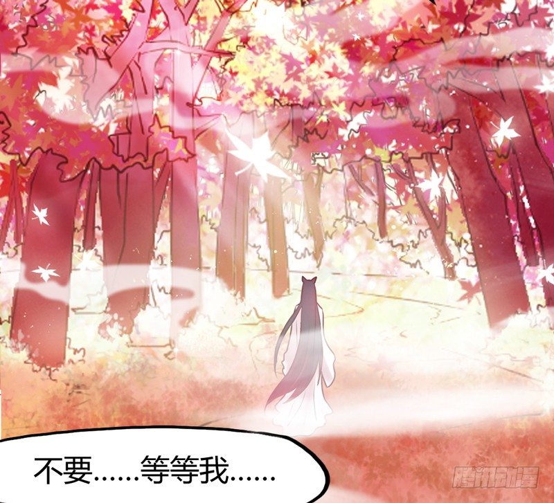 天海千幻云中仙，有狐长情思无绝~(1/2)-第12话