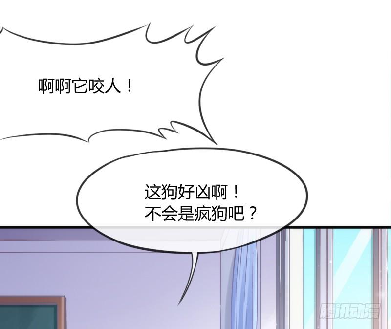 有狐绥绥~在彼&hellip;小黑哥你够！(1/2)-第136话