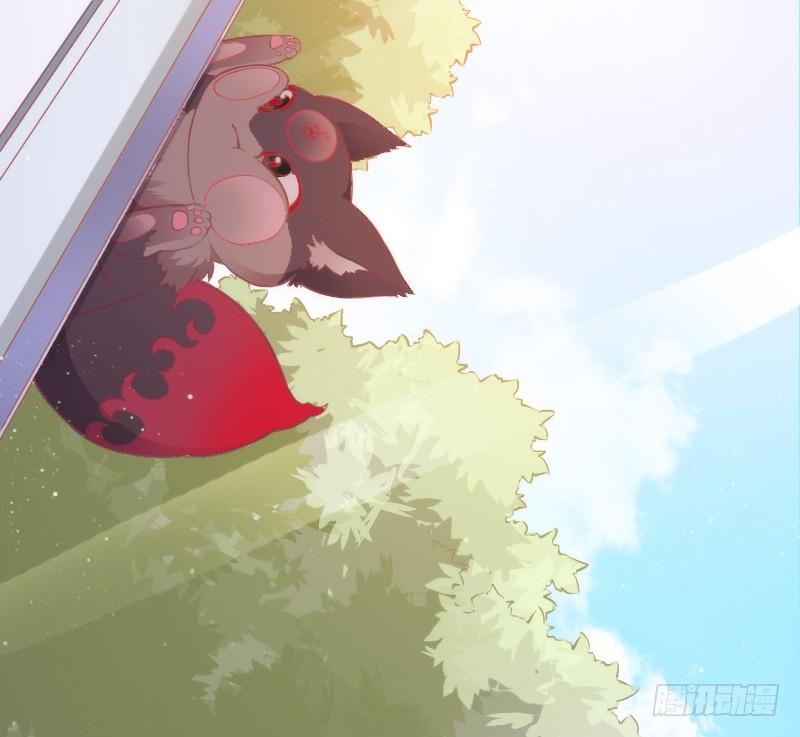 有狐绥绥~在彼&hellip;小黑哥你够！(1/2)-第136话