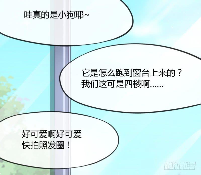 有狐绥绥~在彼&hellip;小黑哥你够！(1/2)-第136话