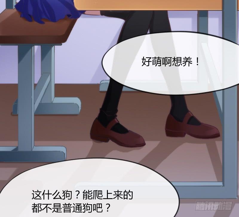有狐绥绥~在彼&hellip;小黑哥你够！(1/2)-第136话