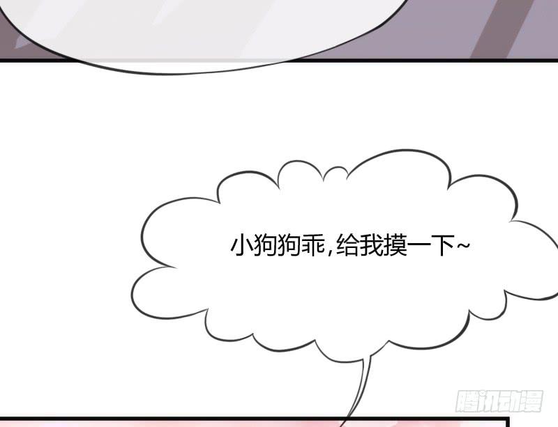 有狐绥绥~在彼&hellip;小黑哥你够！(1/2)-第136话