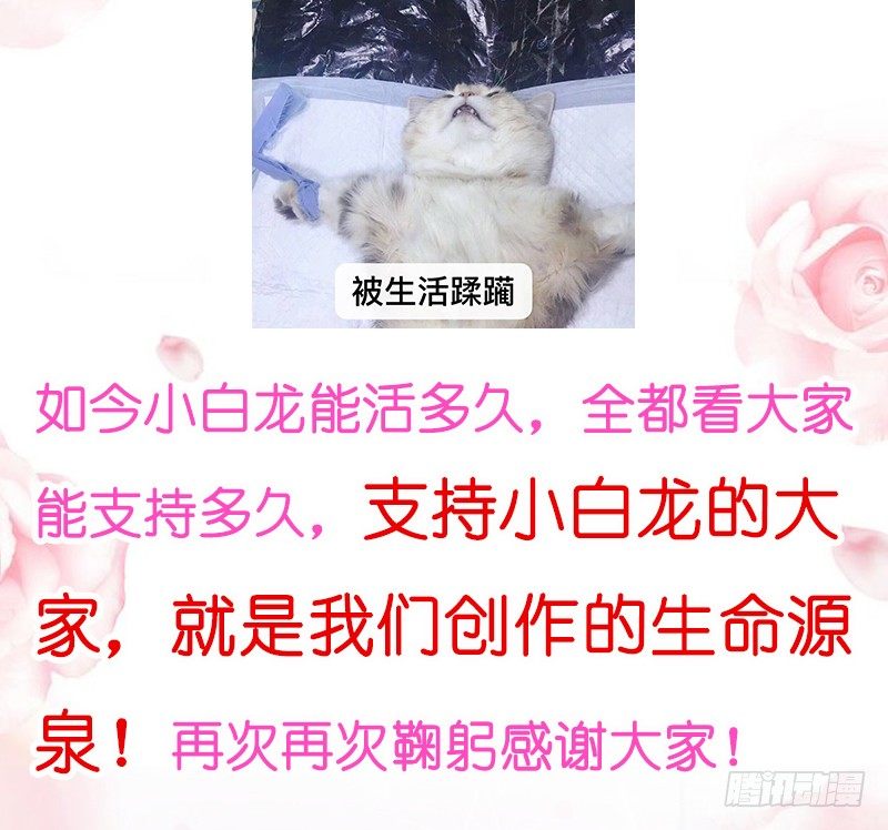 无限感激~致我最亲爱的你！-第104话