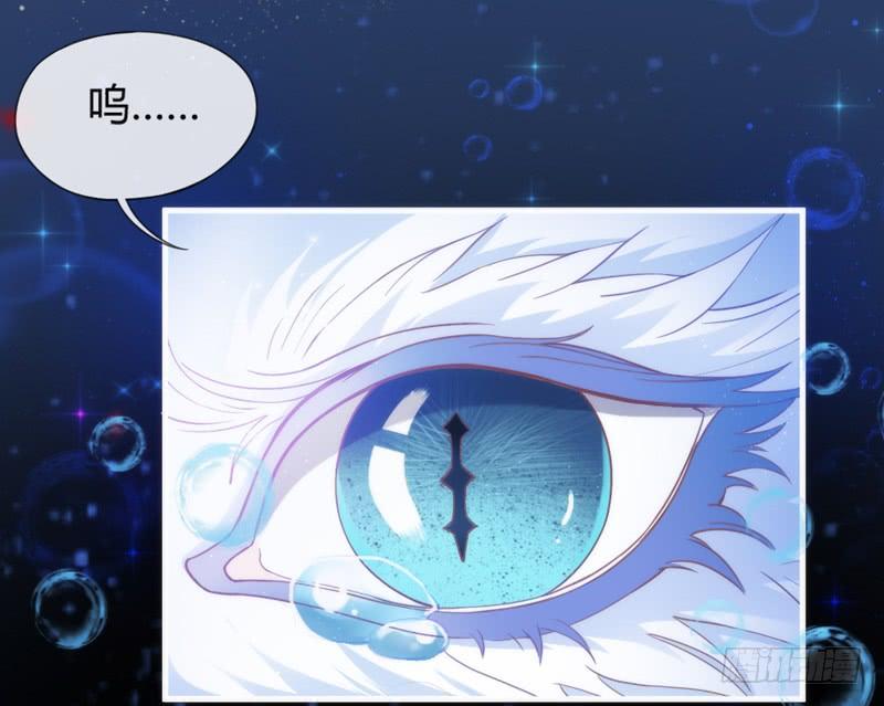 天长地久有时尽，此恨绵绵无绝期！(1/2)-第158话