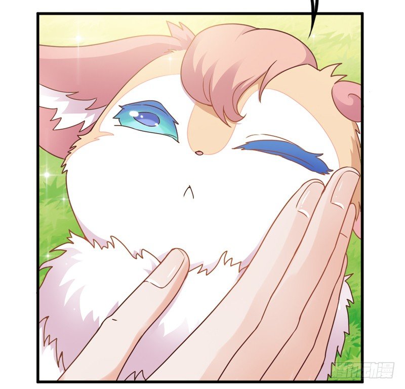 假装是只兔子(1/2)-第18话