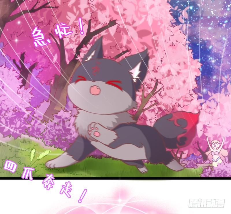 人鱼公主的甜蜜抉择~！-第178话