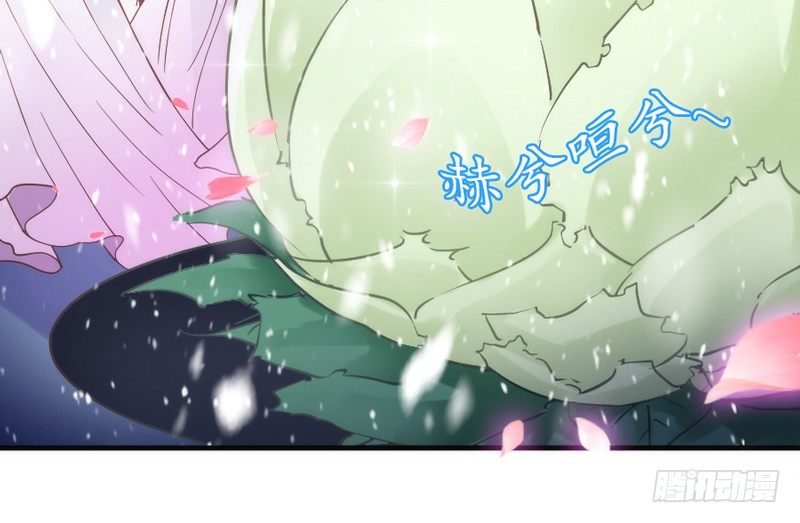 天人一舞惊玉阙，乱雪飞花情难绝~(1/2)-第36话