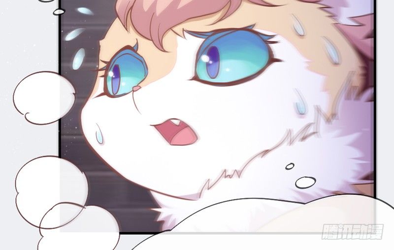 小白！我可能再也见不到你了！(1/2)-第38话
