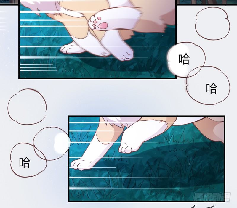 小白！我可能再也见不到你了！(1/2)-第38话