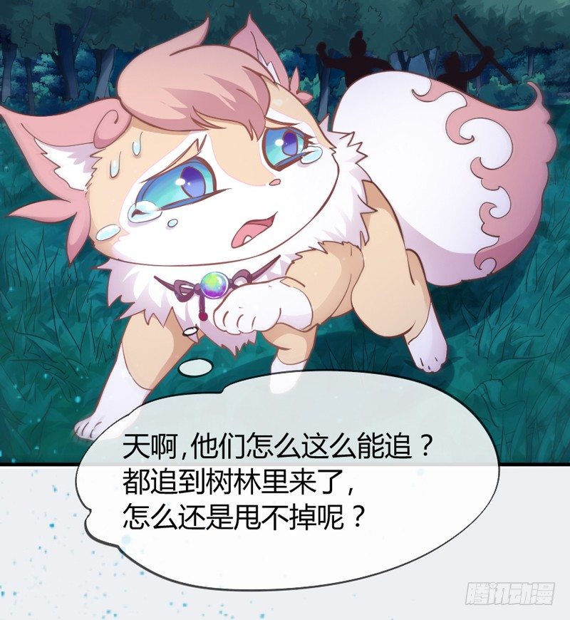 小白！我可能再也见不到你了！(1/2)-第38话