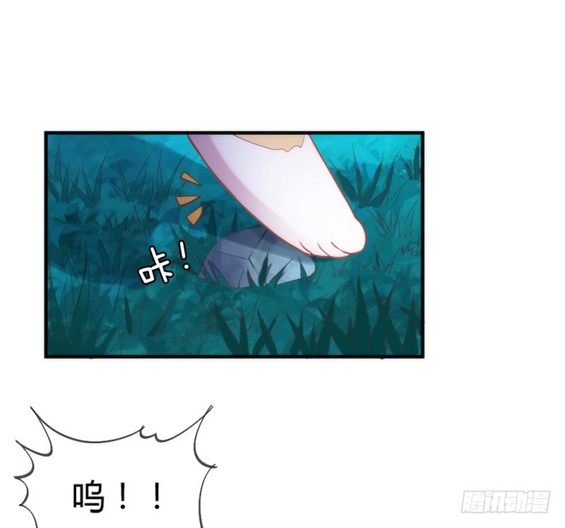 小白！我可能再也见不到你了！(1/2)-第38话