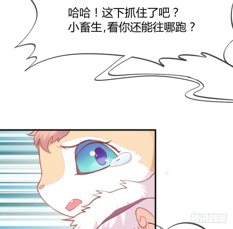 小白！我可能再也见不到你了！(1/2)-第38话