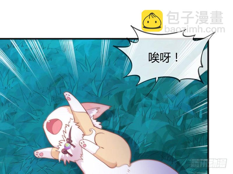小白！我可能再也见不到你了！(1/2)-第38话