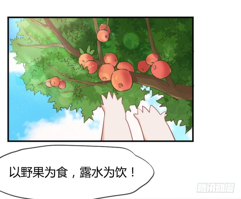我们山里人，没见过大世面？(1/2)-第46话