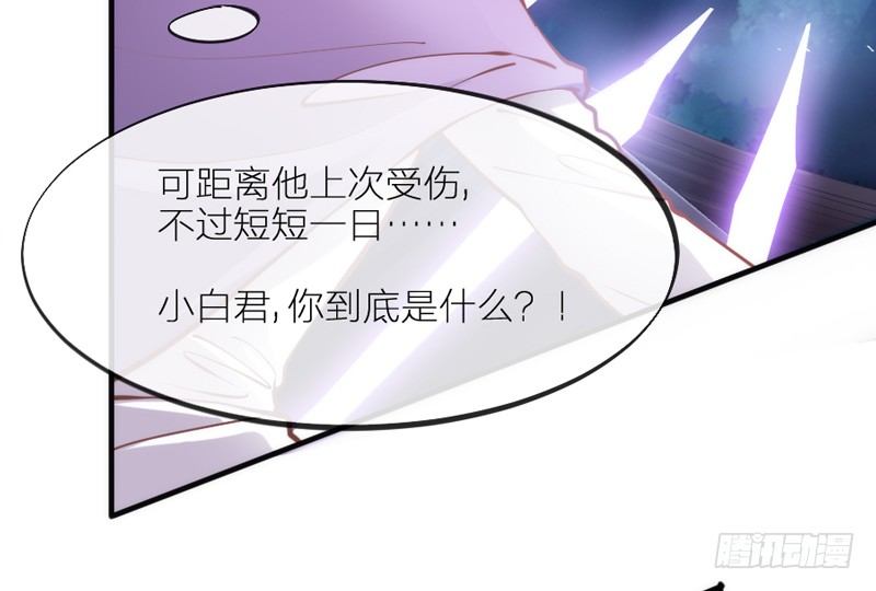 小白，你可千万不要受伤啊！(1/2)-第68话