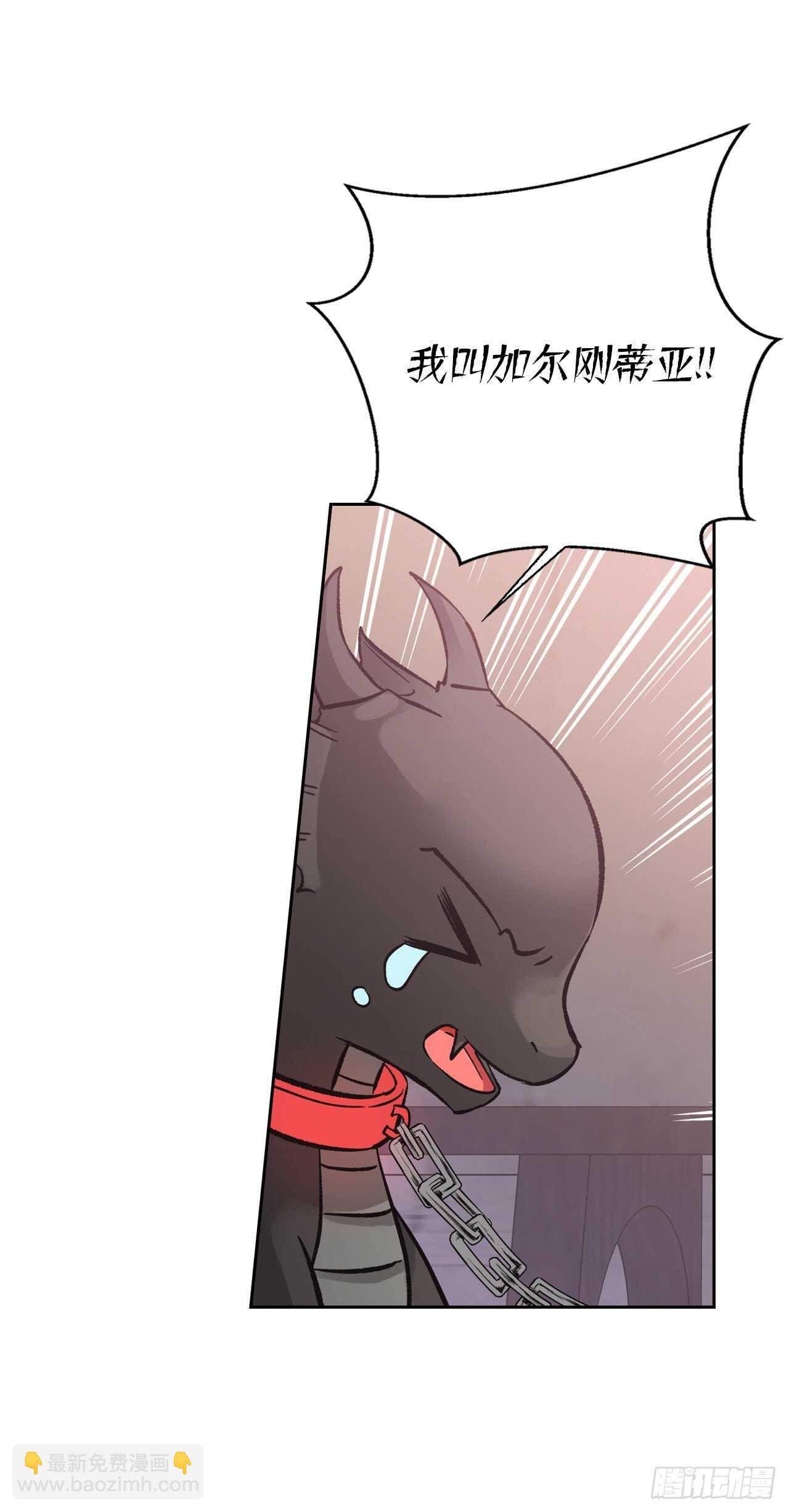 27.书消失了？(1/2)-第28话