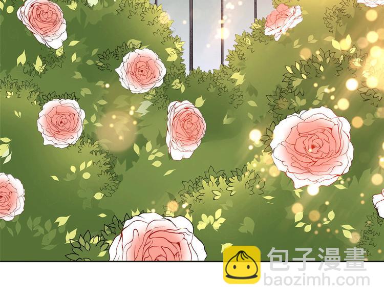 第二十七话 宣布复出(1/4)-第28话