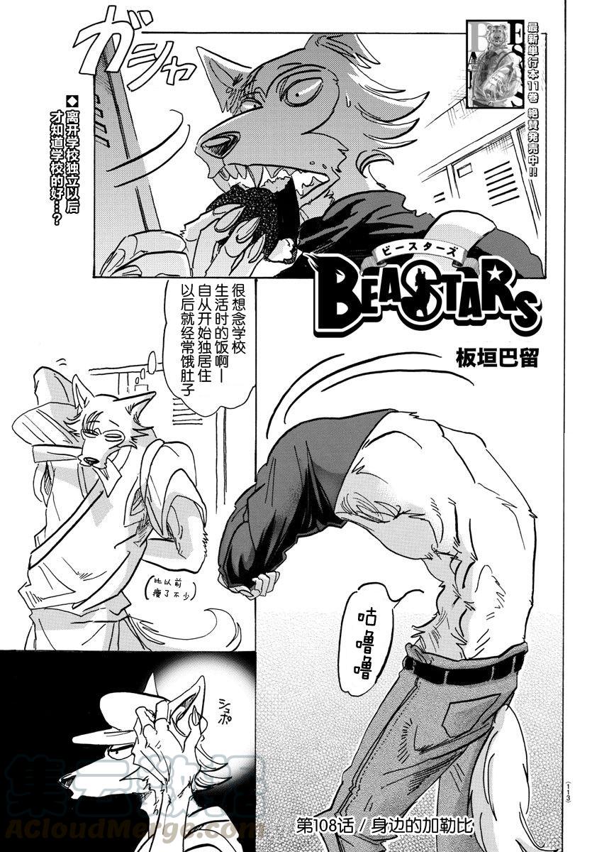 🍵BEASTARS 动物狂想曲 第108话 附近的加勒比海 第1页