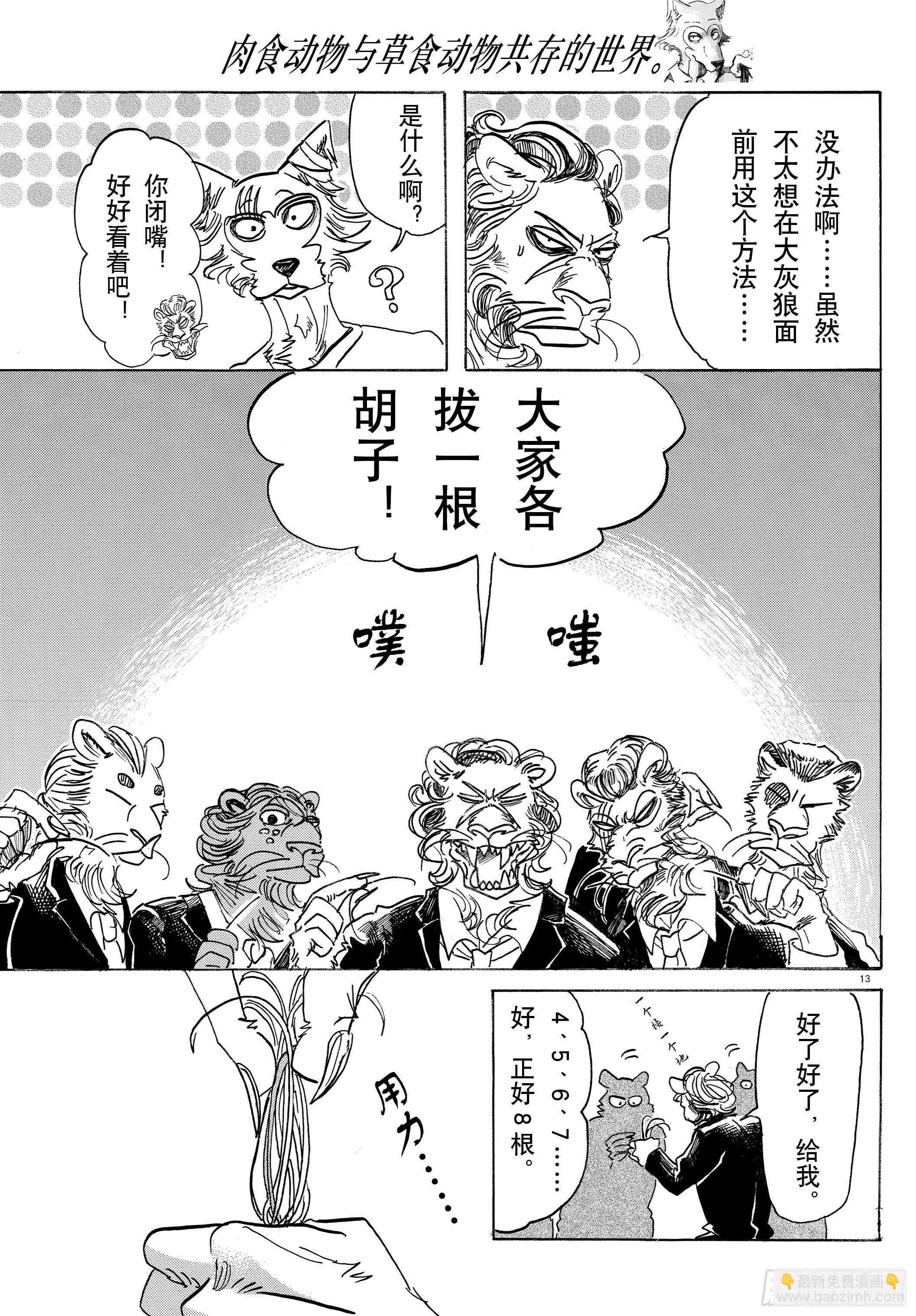 🍵BEASTARS 动物狂想曲 第144话 吾辈猫科是也 第13页
