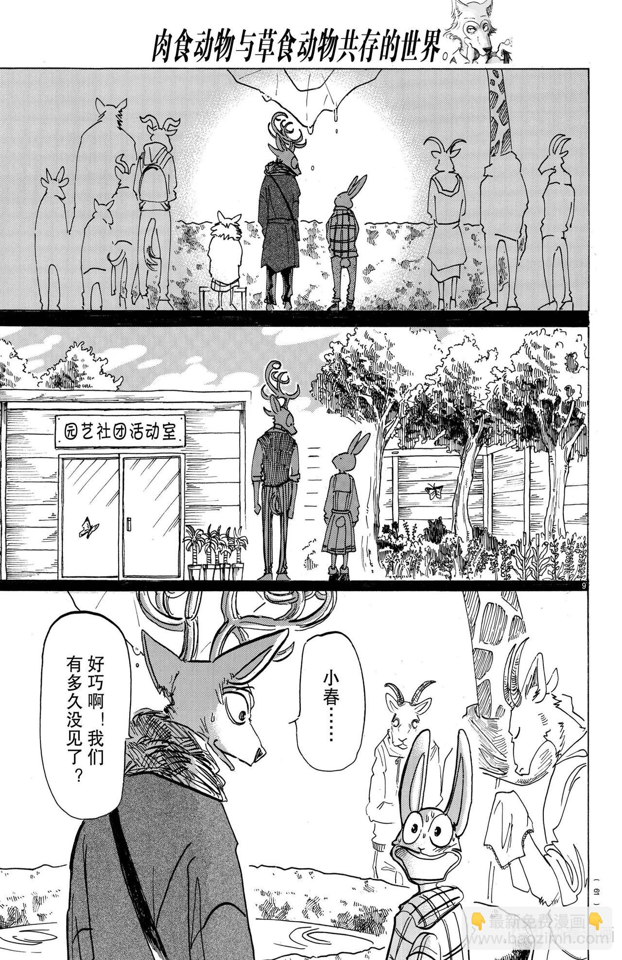 🍵BEASTARS 动物狂想曲 第166话 第10页