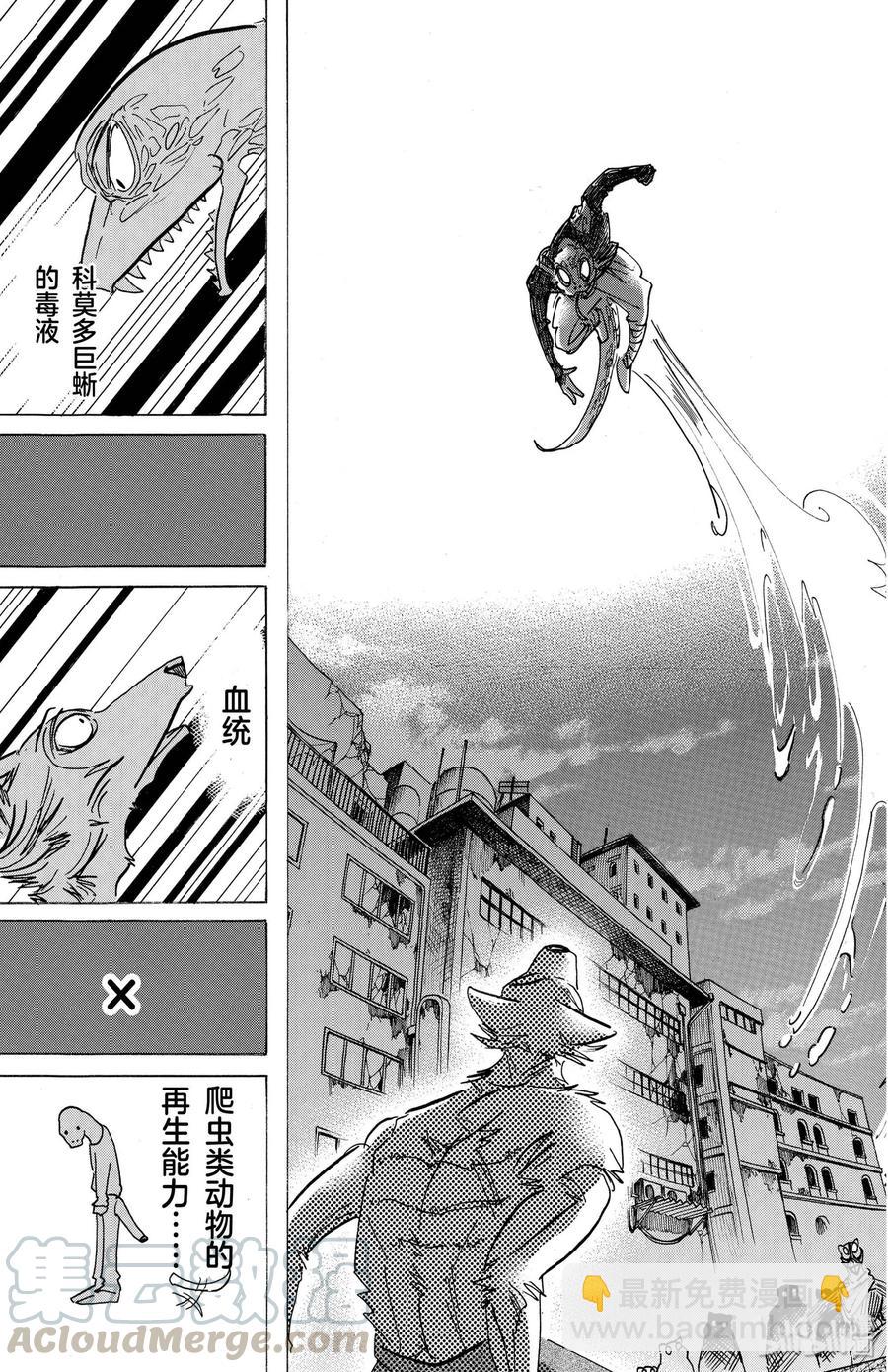🍵BEASTARS 动物狂想曲 第176话 鳞臂之中闪耀的光芒 第17页