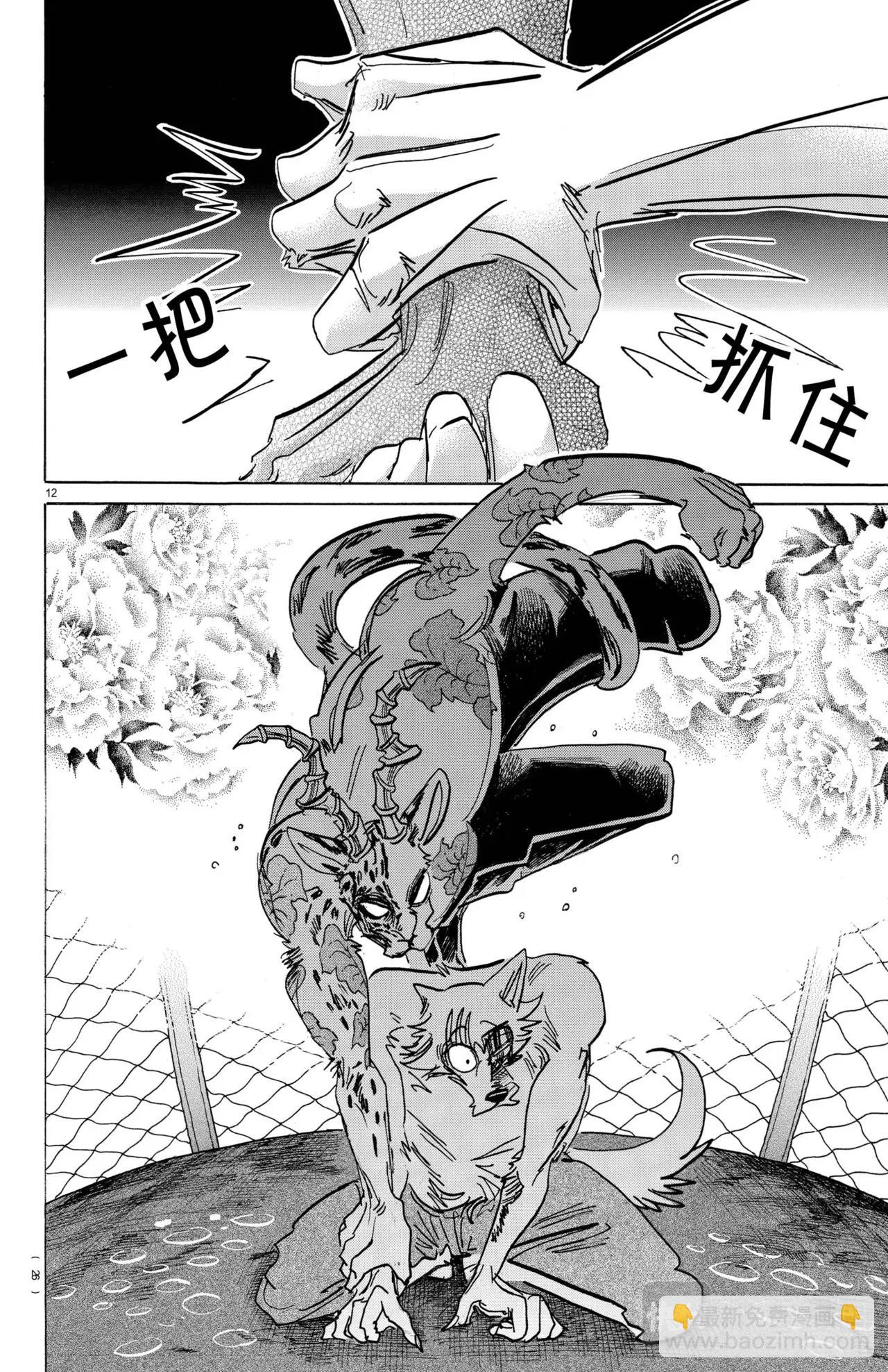 🍵BEASTARS 动物狂想曲 第184话 第13页