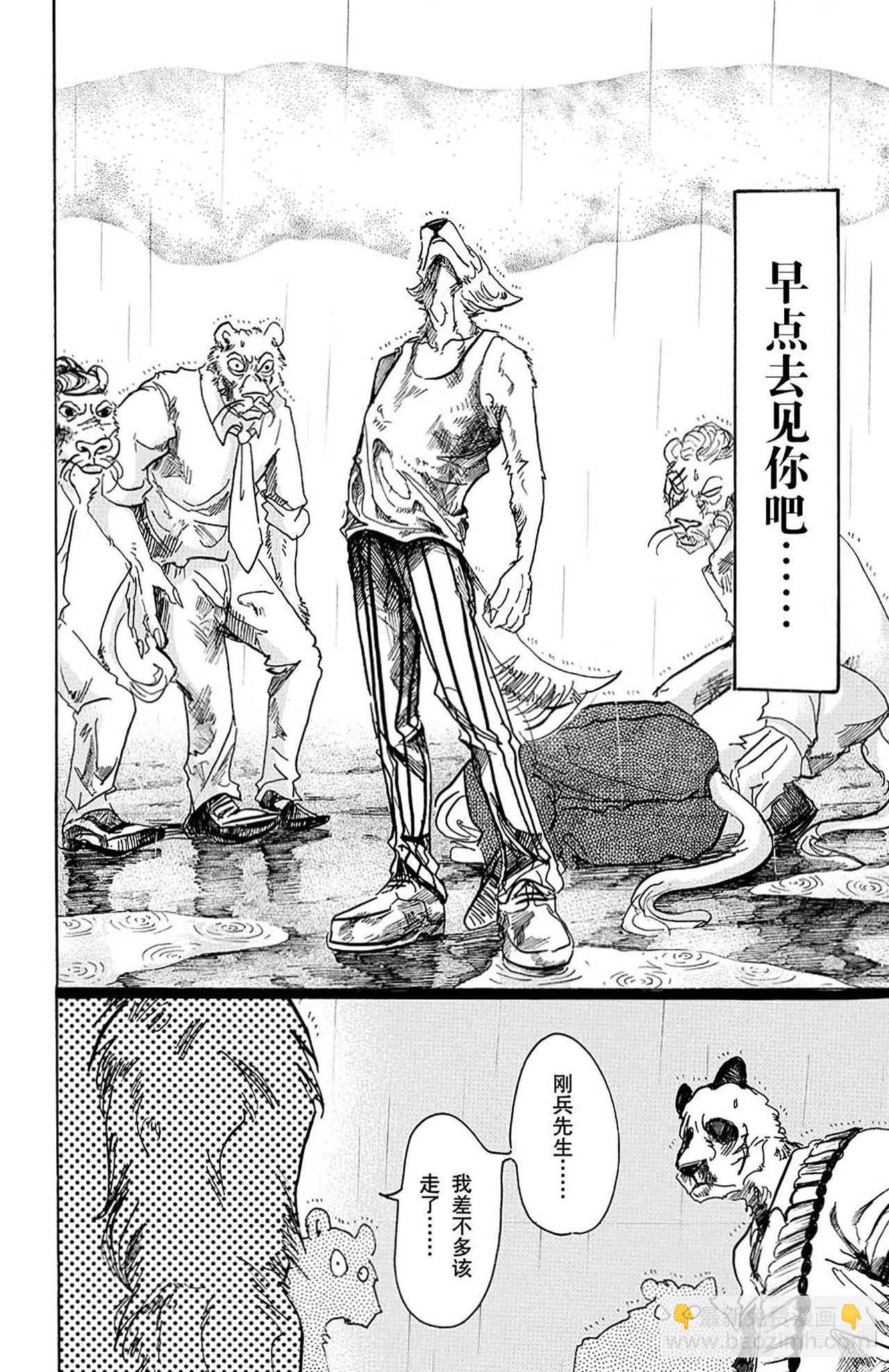 🍵BEASTARS 动物狂想曲 第40话 与其说充满胸口，不如说充满肺腑 第11页