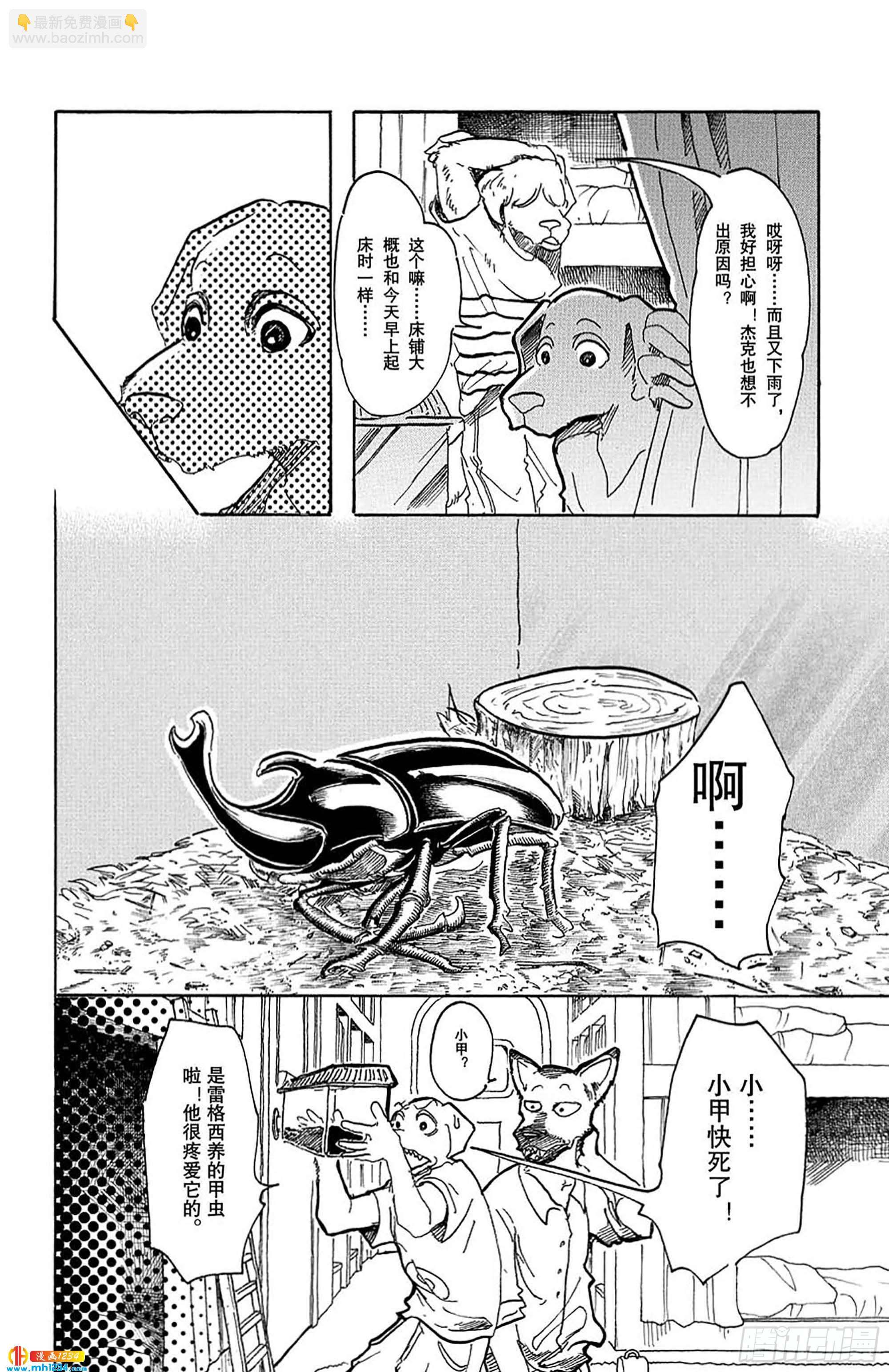🍵BEASTARS 动物狂想曲 第41话 大型忠诚心 第4页