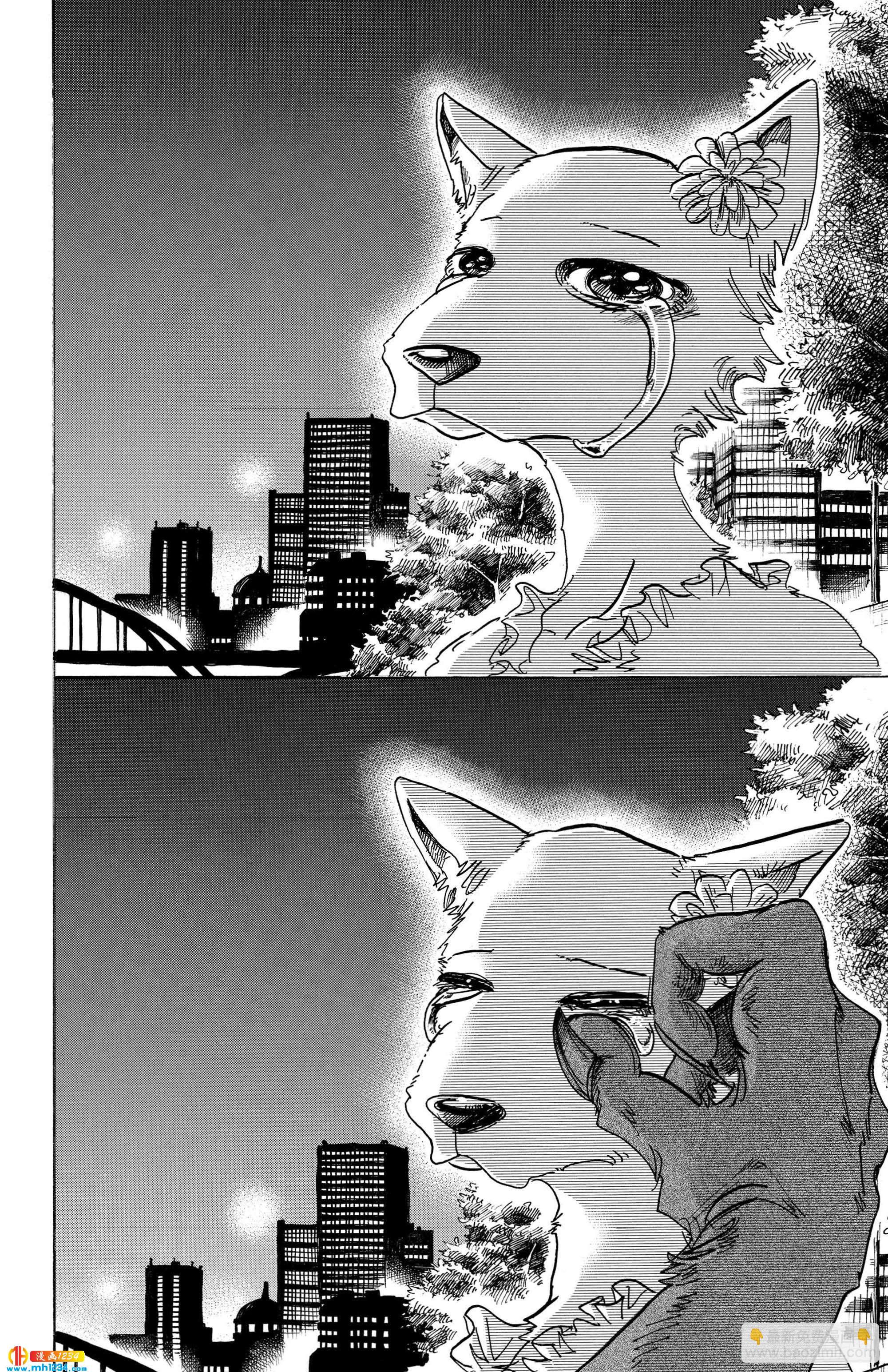 🍵BEASTARS 动物狂想曲 第86话 彗星临渊 第18页