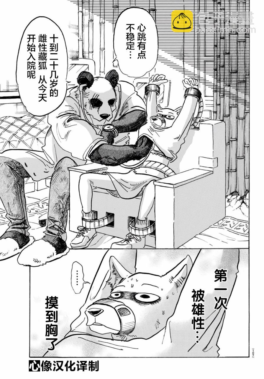 🍵BEASTARS 动物狂想曲 第86话 彗星临渊 第3页