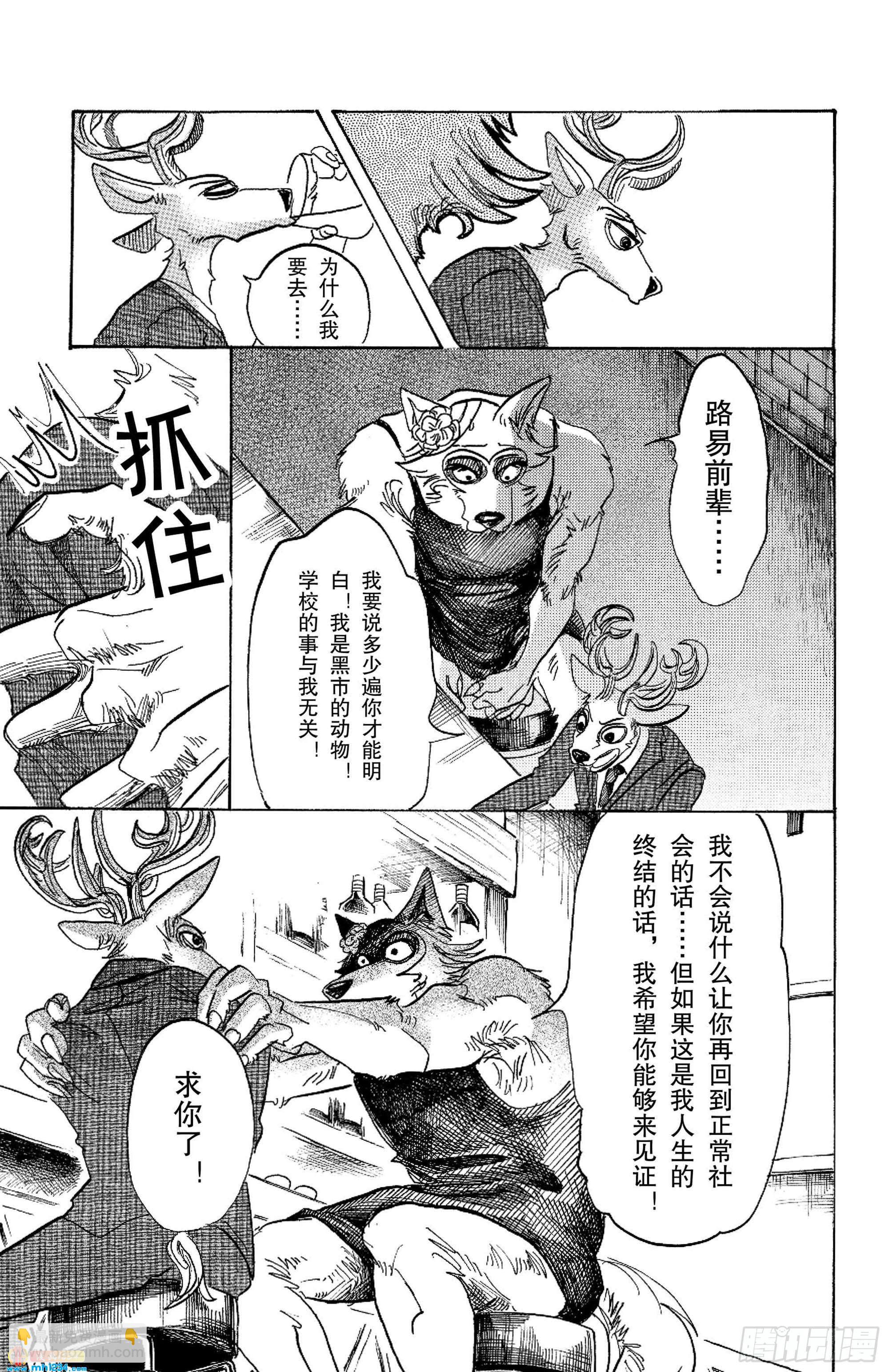 🍵BEASTARS 动物狂想曲 第88话 淑女大暴走 第19页