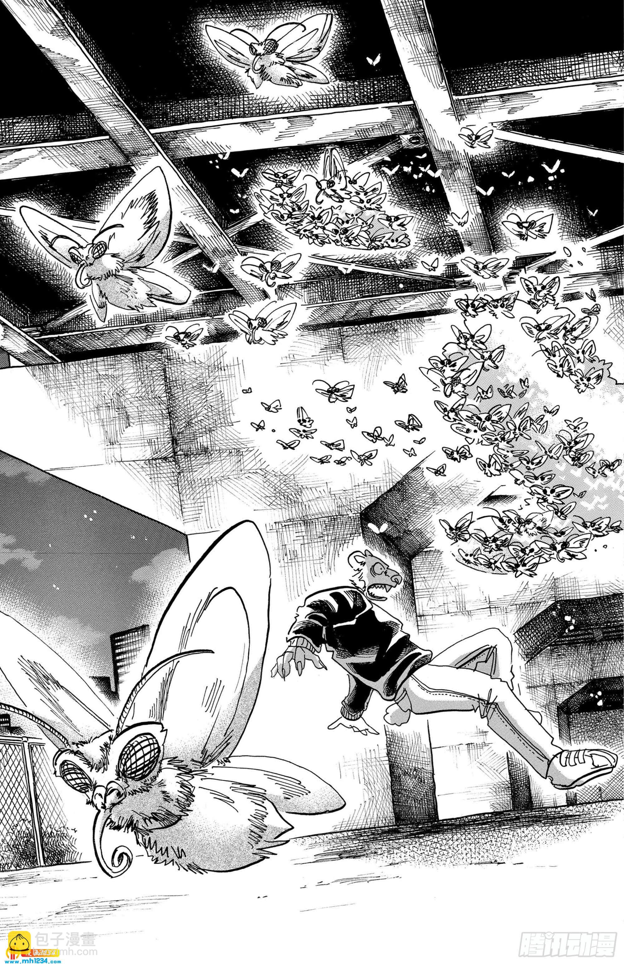 🍵BEASTARS 动物狂想曲 第93话 把粘在衣服上的金毛装入口袋 第13页