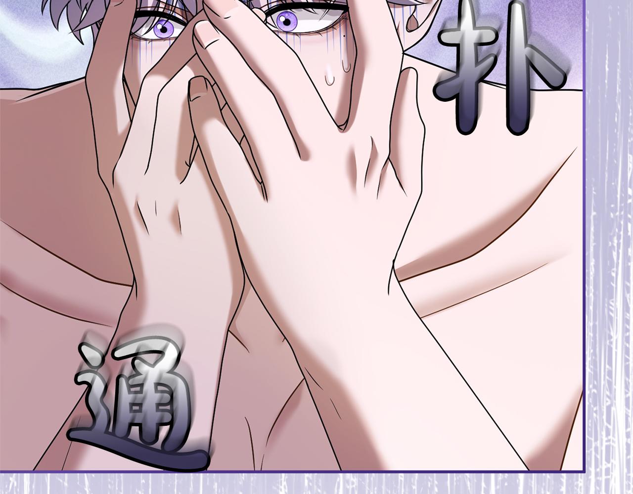 第41话 受到祝福(1/5)-第42话