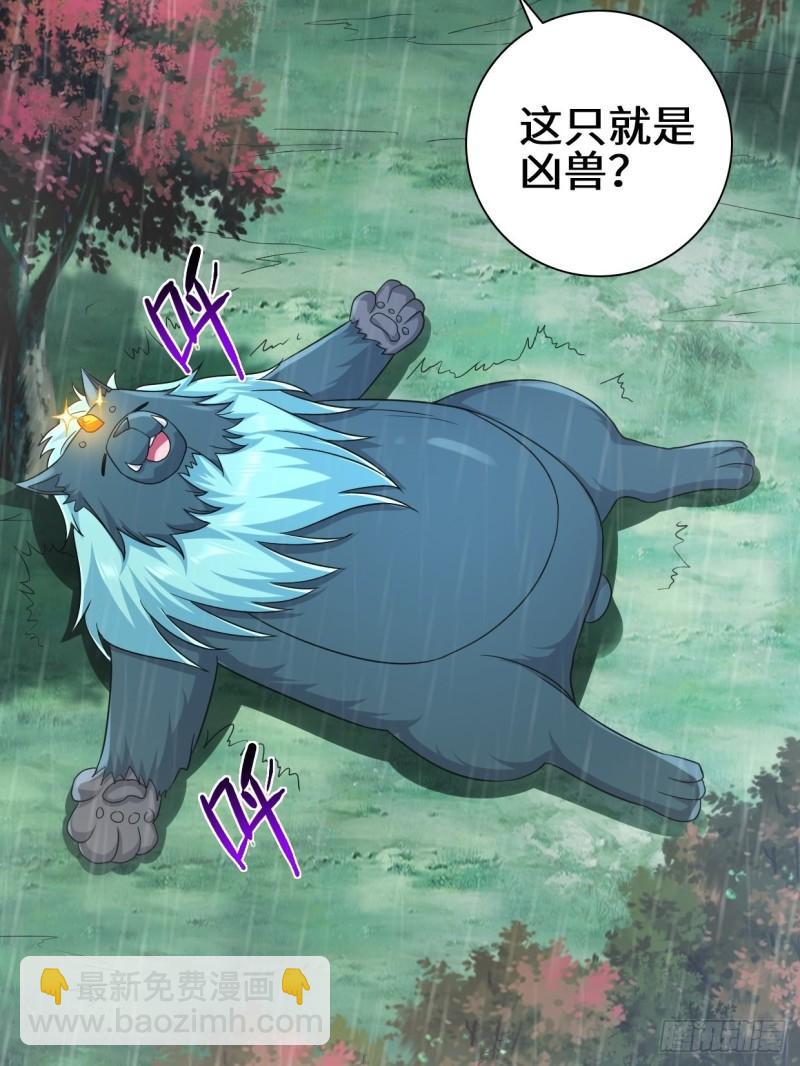 🍵被迫成为反派赘婿 天神山 第26页