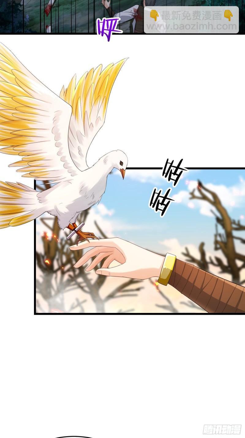 🍵被迫成为反派赘婿 瘟疫之村 第9页