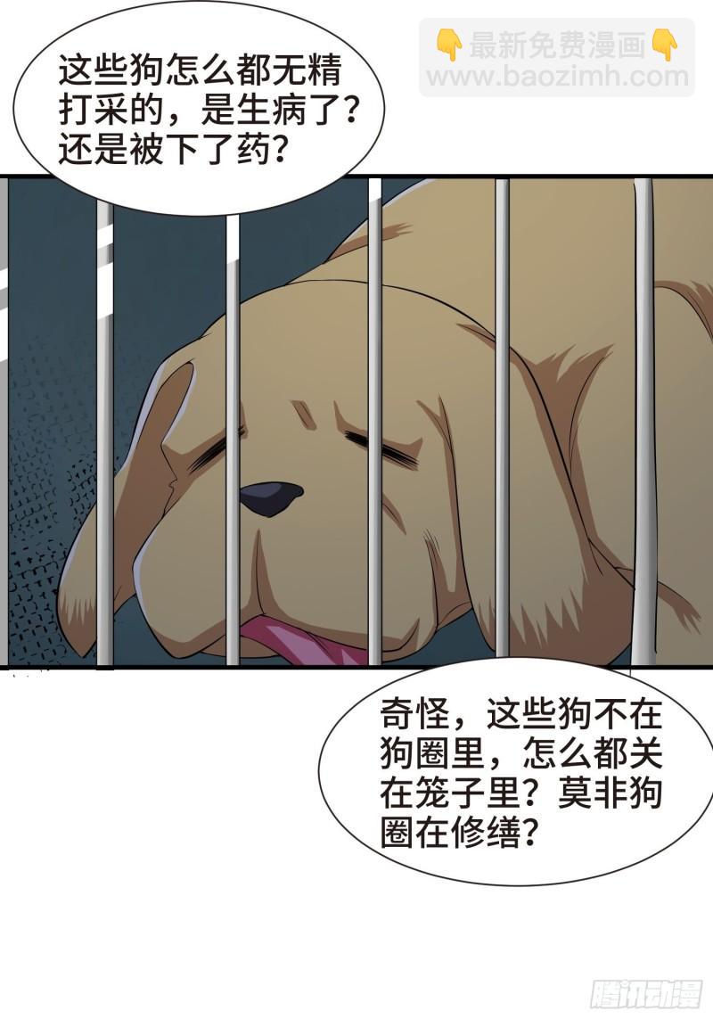 🍵被迫成为反派赘婿 结实的胸肌 第19页